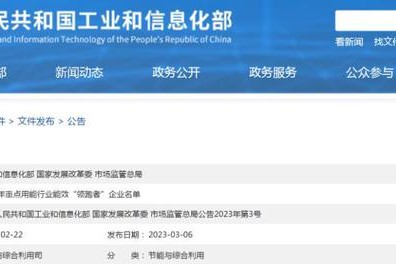 2022年石化行業(yè)合成氨、甲醇、現(xiàn)代煤化工能效領(lǐng)跑者
